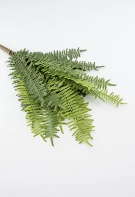 Artificial, natural touch, fern bush