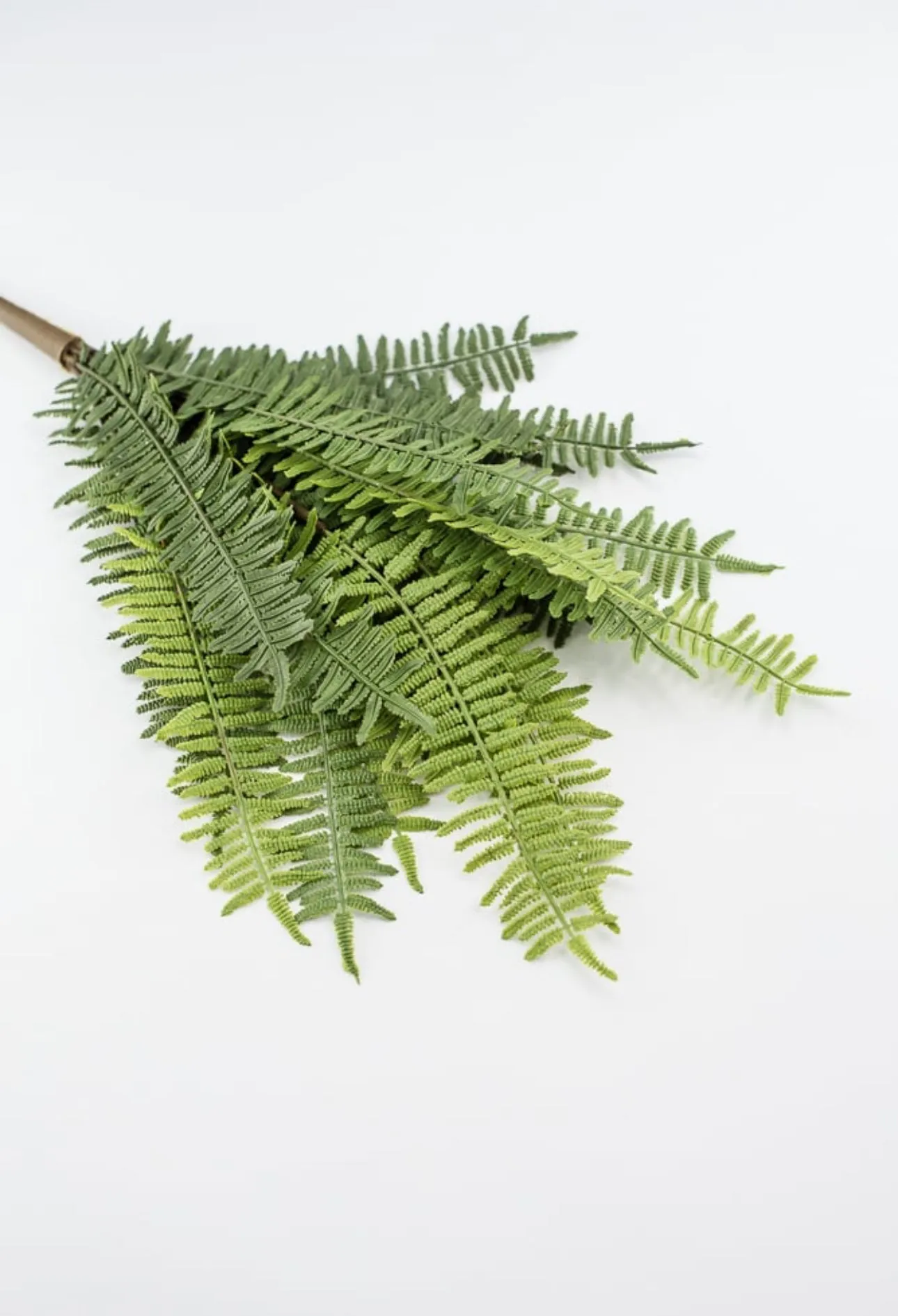 Artificial, natural touch, fern bush