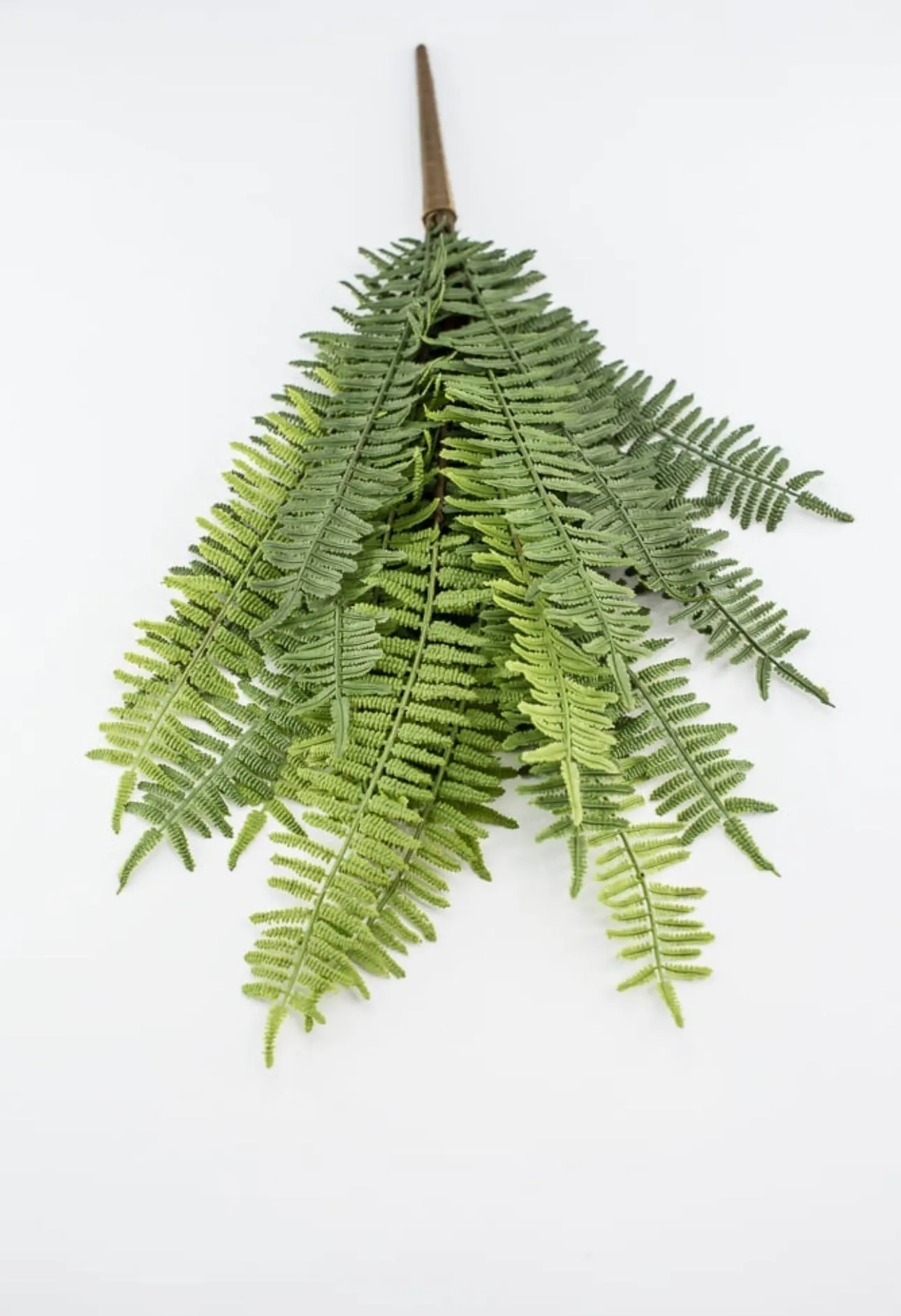 Artificial, natural touch, fern bush