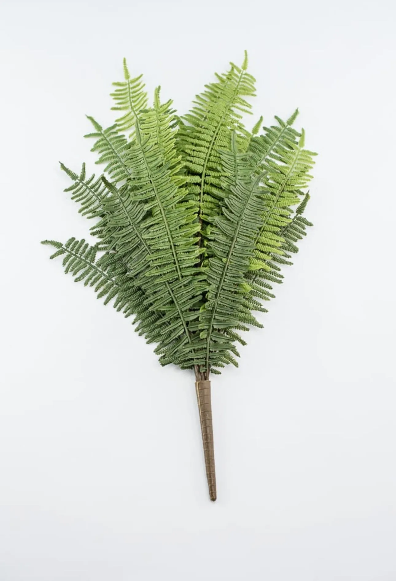Artificial, natural touch, fern bush