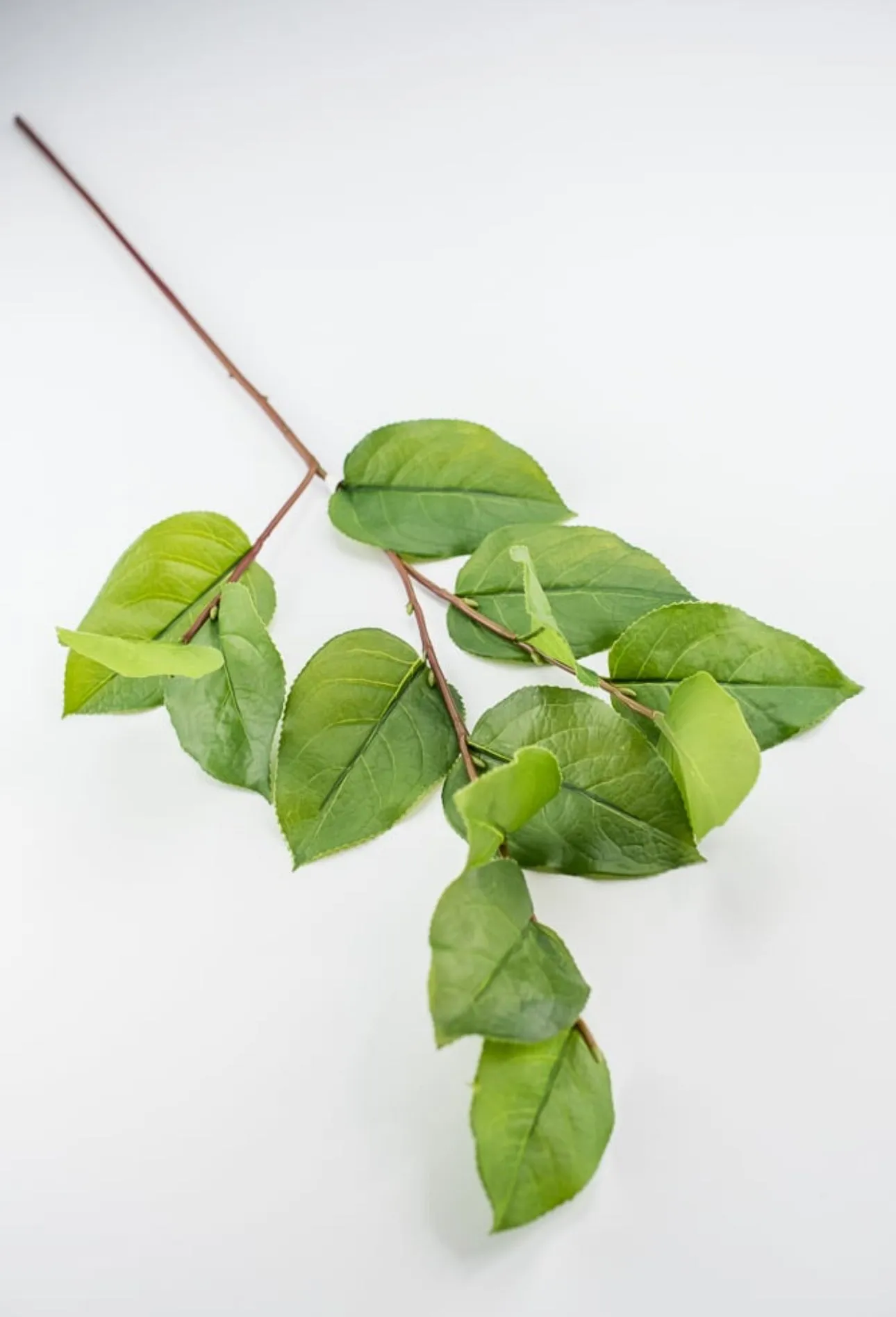 Artificial salal leaf spray 32”