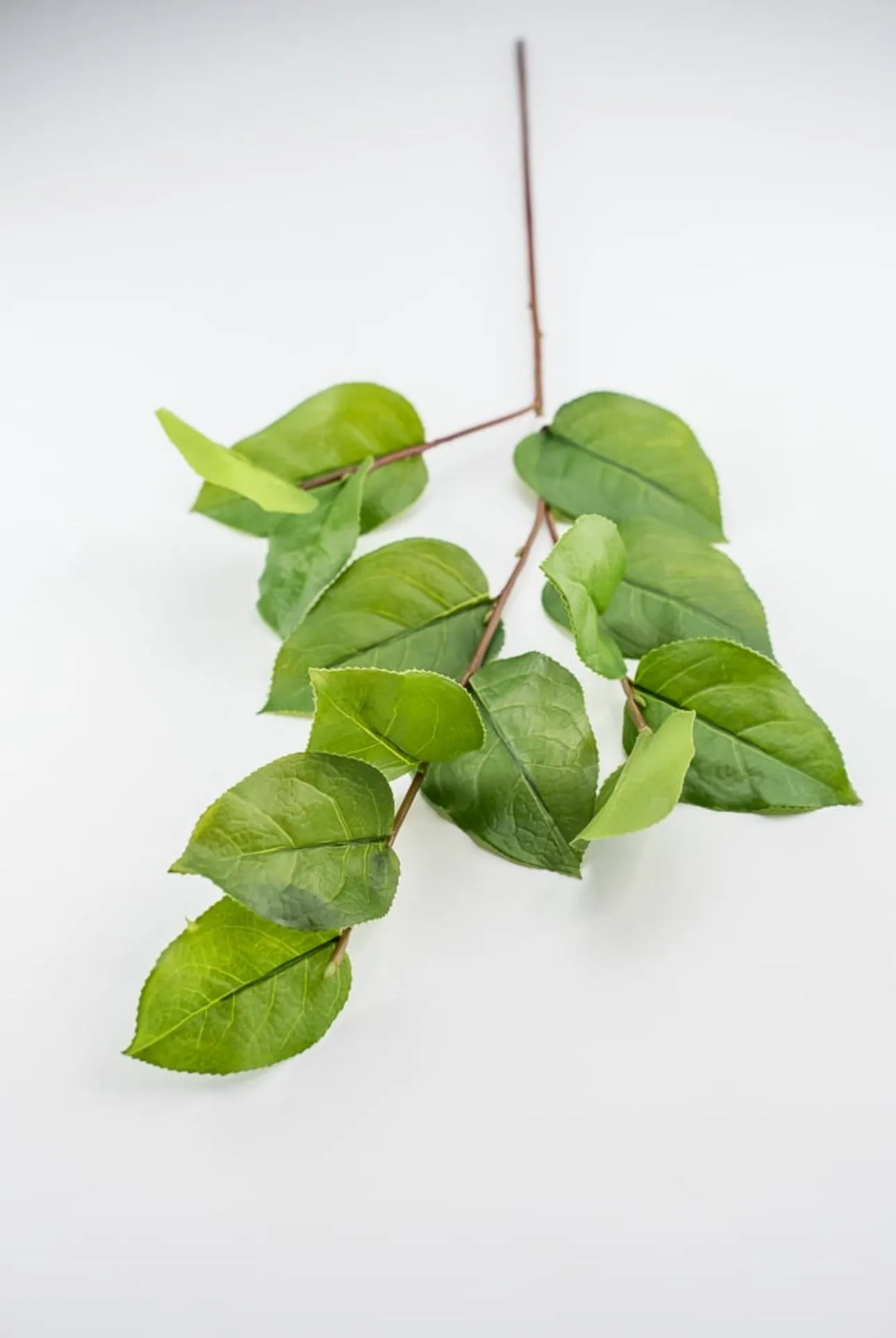 Artificial salal leaf spray 32”