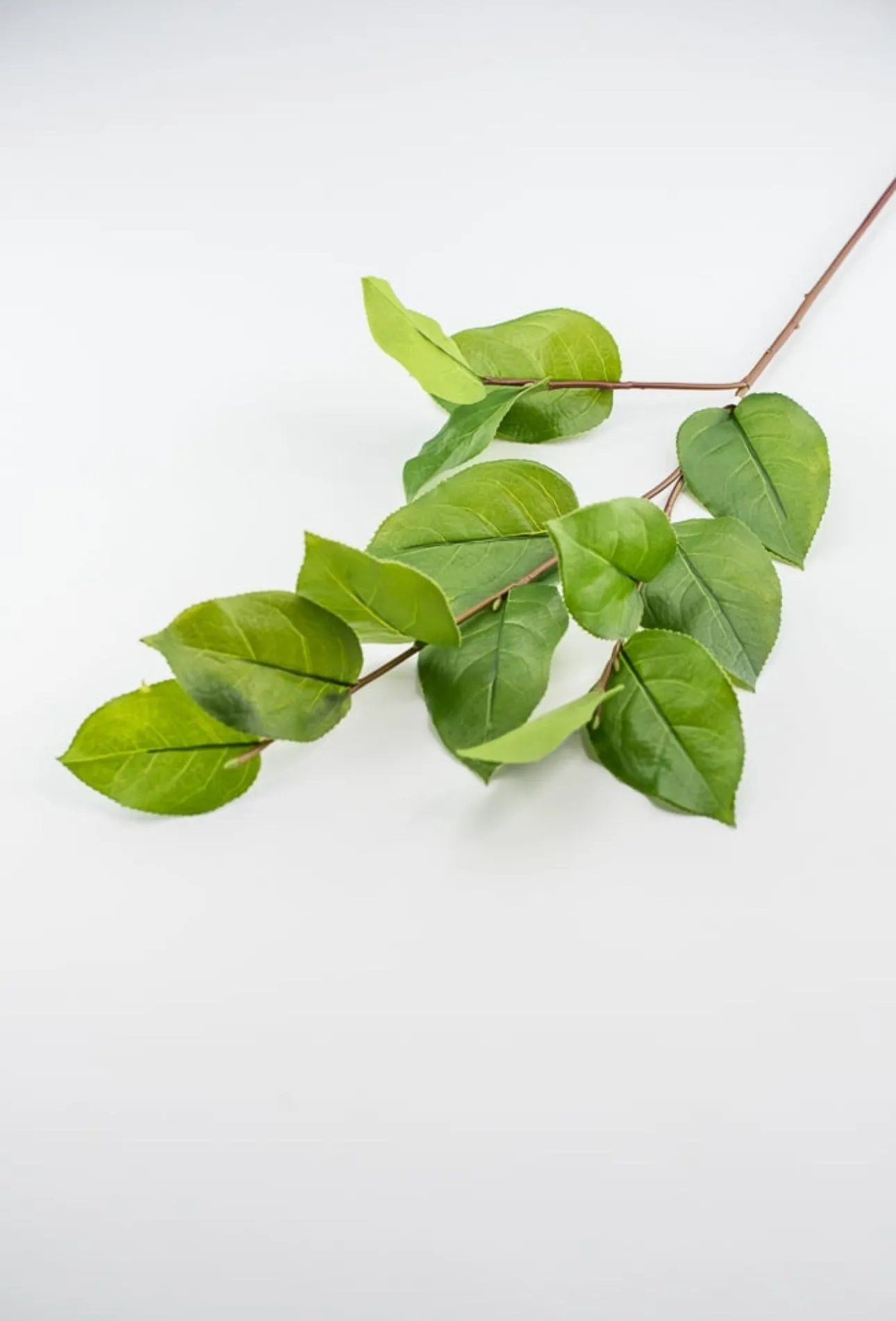 Artificial salal leaf spray 32”