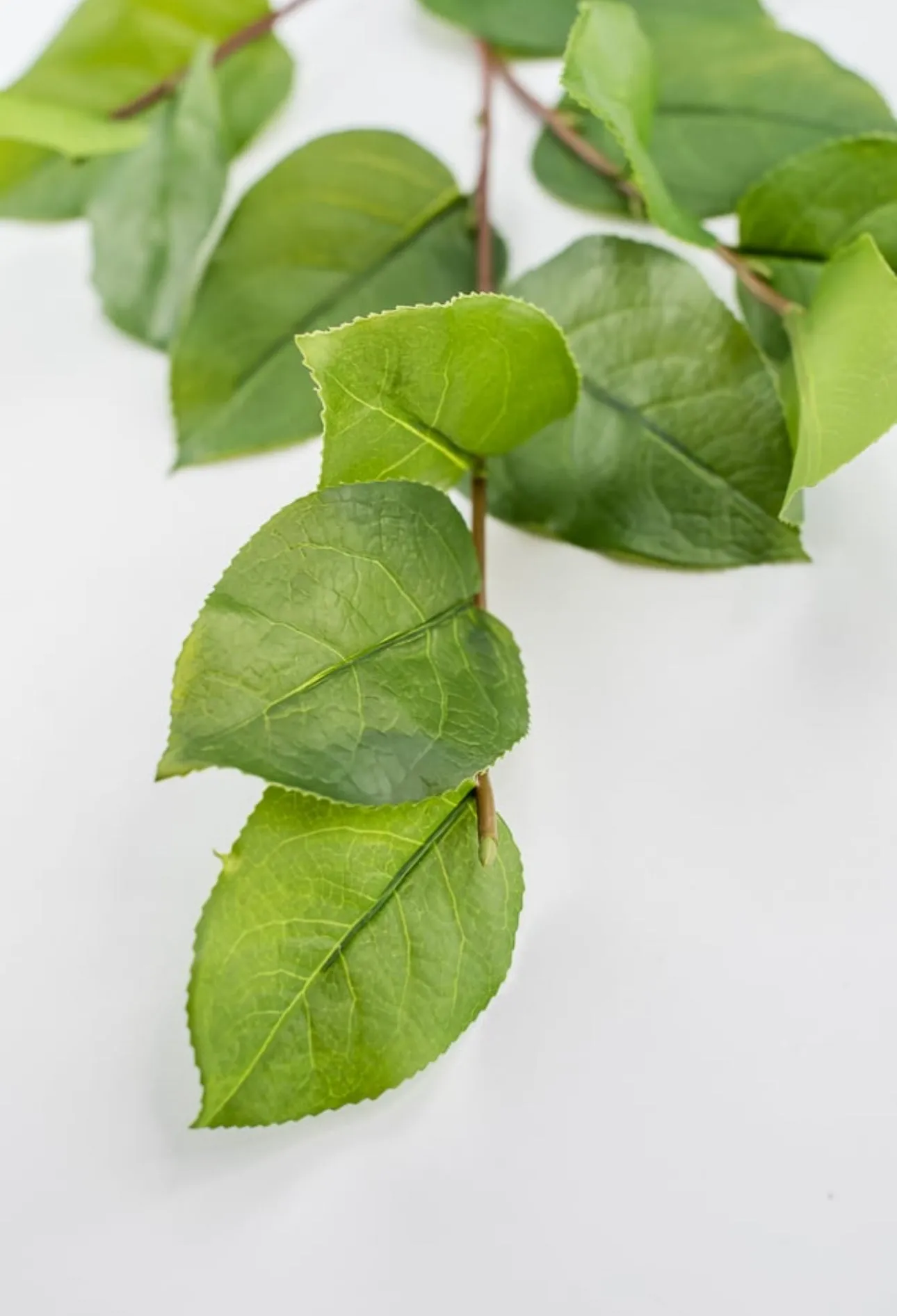 Artificial salal leaf spray 32”