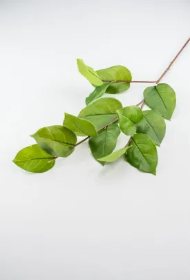 Artificial salal leaf spray 32”