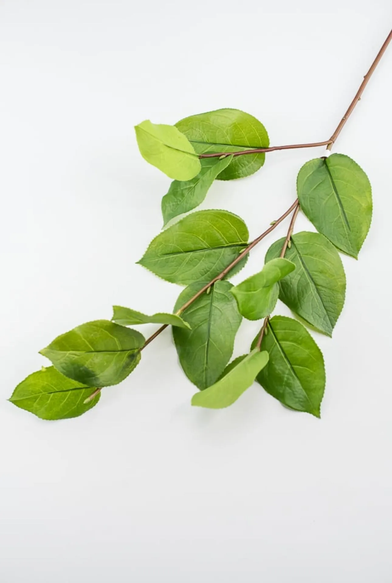 Artificial salal leaf spray 32”