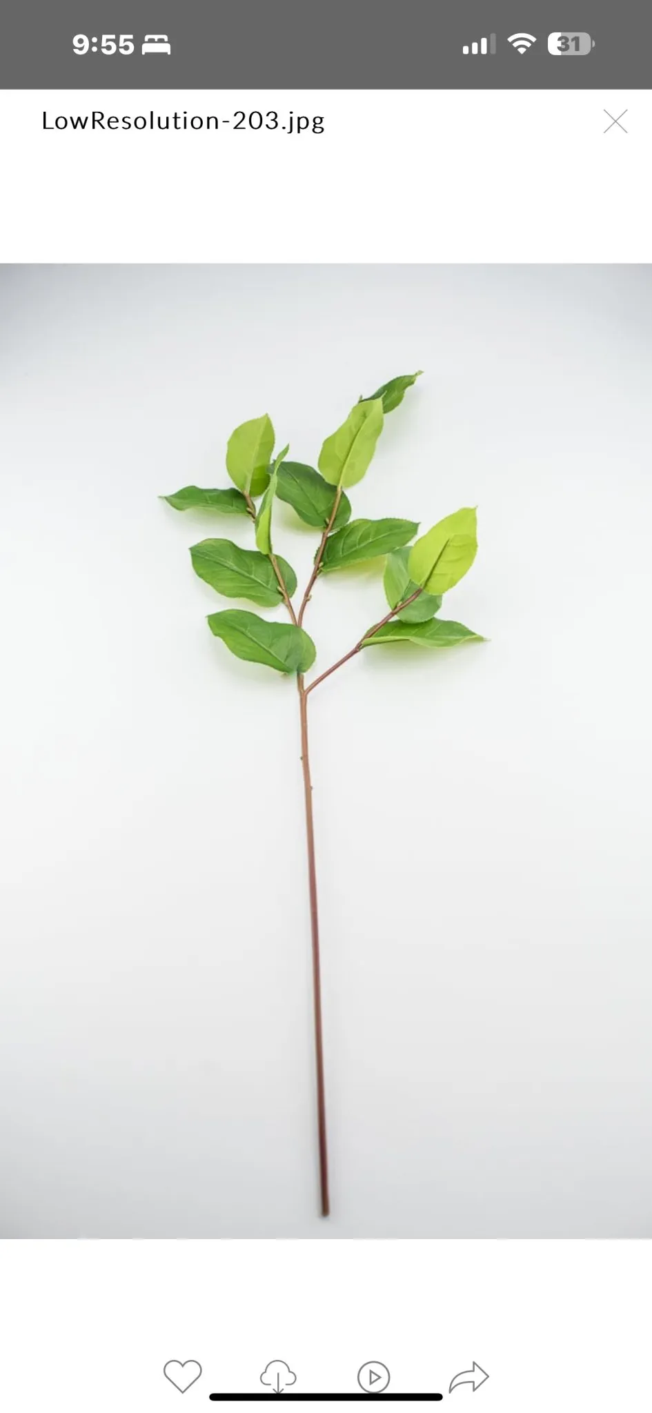 Artificial salal leaf spray 32”