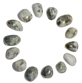 Chalcopyrite Tumbled Stone Snow Quartz Gold