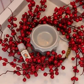 Comfort & Joy Fragrance Oil