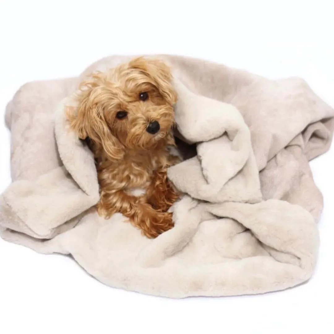 Dog Snuggle Sack in Natural