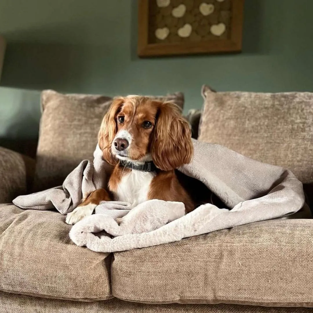 Dog Snuggle Sack in Natural