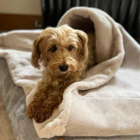 Dog Snuggle Sack in Natural