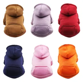 Everyday Hoodie
